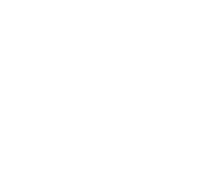 3d drone